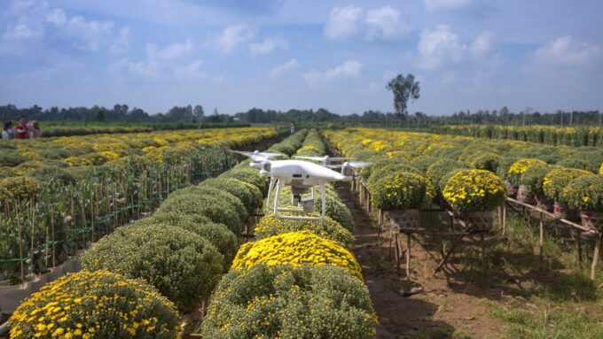Harnessing AI to Transform Agriculture: Innovations in 2026