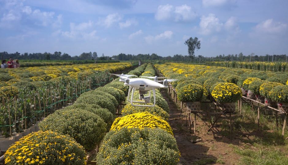Harnessing AI to Transform Agriculture: Innovations in 2026
