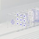 Embracing Neurotech: The Next Frontier in Personal Computing by 2027